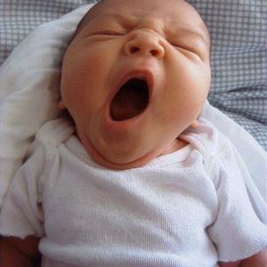 Meet your Posher, Liang